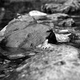 dailyPhoto29
