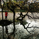 dailyPhoto1