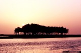 dailyPhoto8