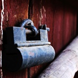 dailyPhoto26