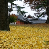 dailyPhoto6