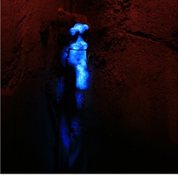 dailyPhoto6