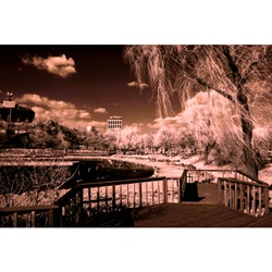 dailyPhoto35