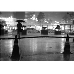 dailyPhoto15