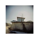 dailyPhoto1