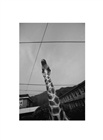 dailyPhoto9