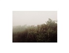 dailyPhoto1
