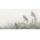 dailyPhoto11