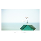 dailyPhoto6