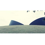 dailyPhoto8