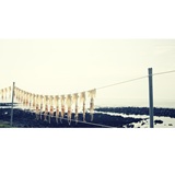 dailyPhoto21