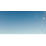 dailyPhoto9