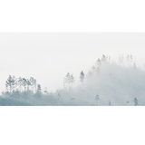 dailyPhoto12