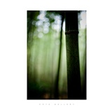dailyPhoto36