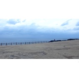 dailyPhoto4