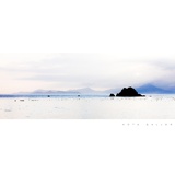 dailyPhoto11
