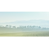 dailyPhoto28