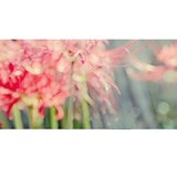 dailyPhoto32