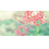 dailyPhoto31