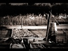 photo1