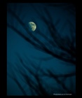 dailyPhoto40