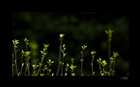 dailyPhoto7