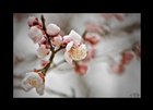 dailyPhoto38