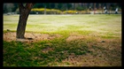 dailyPhoto25