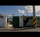dailyPhoto33
