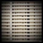 dailyPhoto33