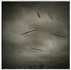 dailyPhoto34