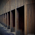 dailyPhoto7