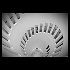 dailyPhoto10