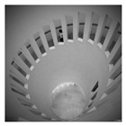 dailyPhoto39