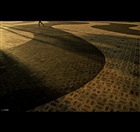 dailyPhoto40