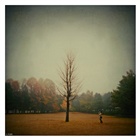 dailyPhoto38