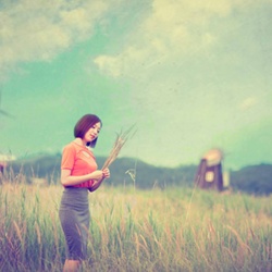 dailyPhoto10