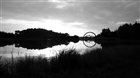 dailyPhoto11