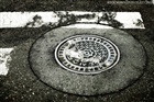 dailyPhoto17