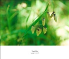 dailyPhoto9