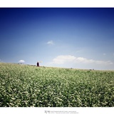 dailyPhoto38