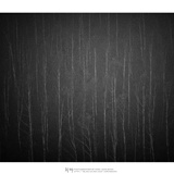 dailyPhoto9