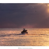 dailyPhoto21