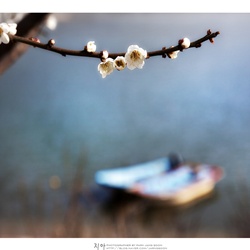 dailyPhoto25