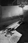 dailyPhoto11