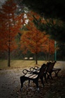 dailyPhoto34