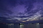 dailyPhoto39