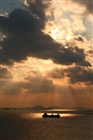 dailyPhoto4