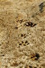 dailyPhoto23