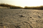 dailyPhoto25